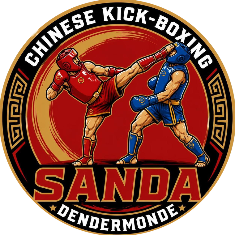 Sanda Kickboxing DMD — Chinese kick-boxing